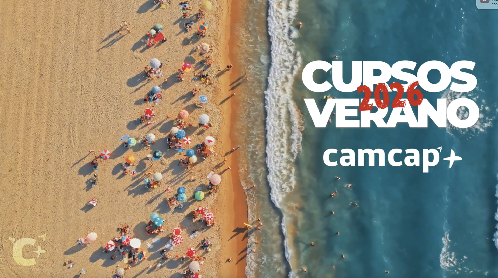 ¡Nuevo Curso de Verano! Bill of Lading 🌊