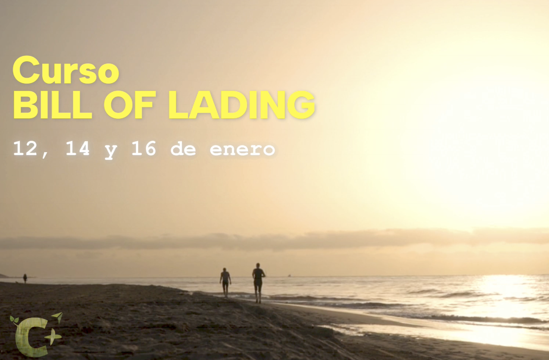 Curso de Verano 2026: Especialización en Bill of Lading (Conocimiento de Embarque)